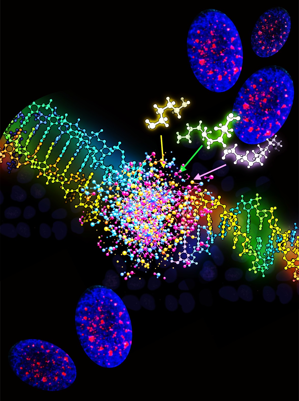 Polyamines disrupting i-motif structures